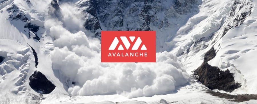 Logotipo de Avalanche