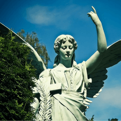 Host an angel festival to raise money for your church or religious organization.