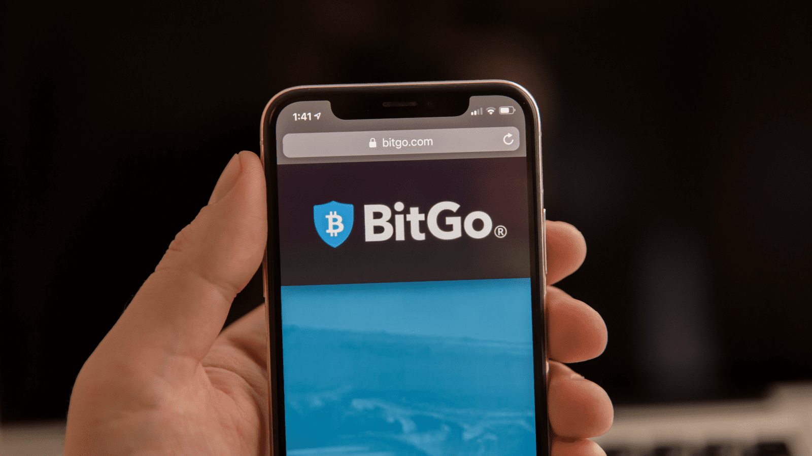 BitGo custody for institutions