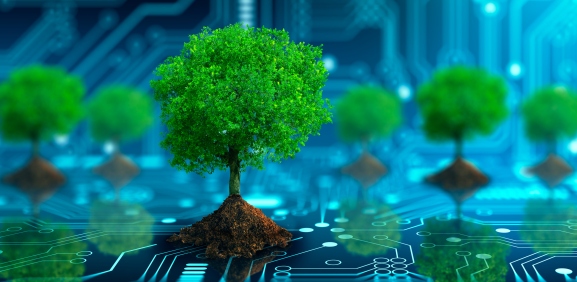 Tree with soil growing on the converging point of computer circuit board. Sustainability in the supply chain concept.