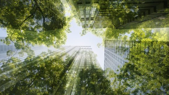 Environmental sustainability. Cityscape mixed with green plants, multi layered image