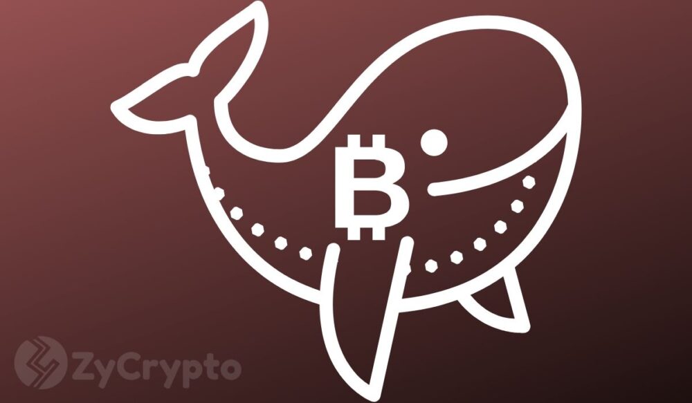 Las ballenas de Bitcoin iniciaron el movimiento del oso arrojando sus monedas sobre los especuladores de GBTC - Peter Schiff