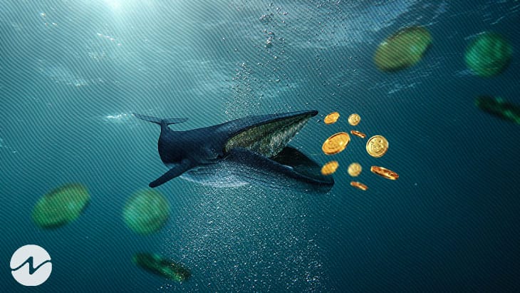 Une baleine achète 100 milliards de Shiba Inu (SHIB)