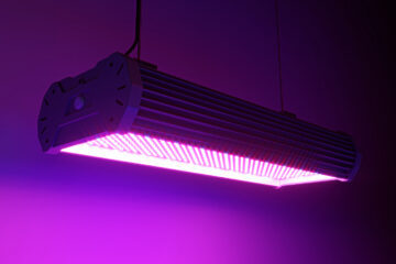 8 LED-valmistajaa valaisemaan uutta tai olemassa olevaa kasvua