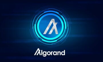 Algorand fokuserer på å levere teknologien uten unødvendig innsatshype, sier midlertidig administrerende direktør