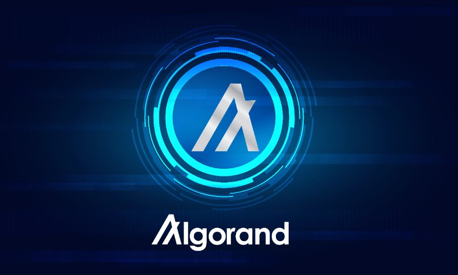 Algorand focuses on delivering the tech without unnecessary effort hype, says interim CEO
