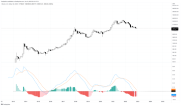 Bitcoin Bear Markets månedlige momentum når det verste som er registrert