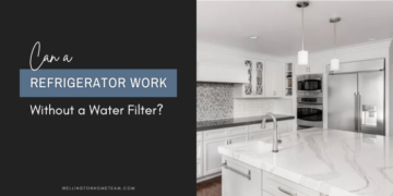 Un frigorifero può funzionare senza un filtro per l'acqua?