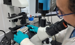 Cancer Detection Microfluidic Technologies