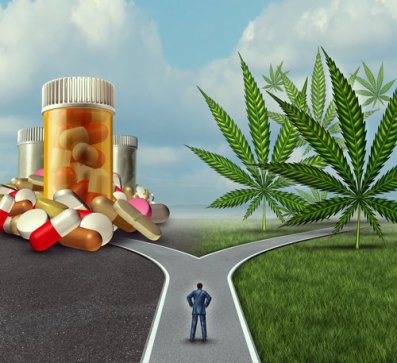 Cannabis Pain Relief A Placebo?