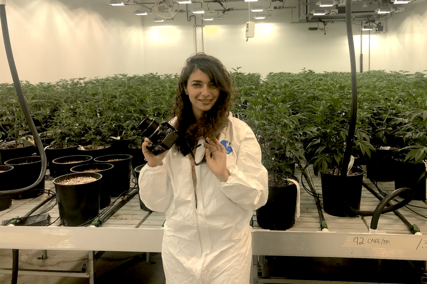 Ainult sularahas 420 korda: Weed and Psychedelics ajakirjanik, Madison Margolin