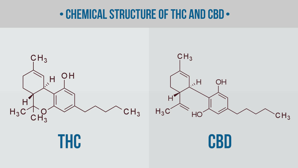 kemijska struktura thc in cbd