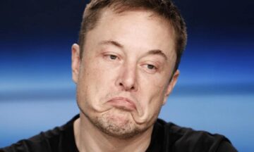 Elon Musk sucht nach einem neuen Twitter-CEO, der „dumm genug“ ist