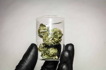La Floride publie des règles sur le cannabis médical, ouvrant des portes à de nouvelles entreprises
