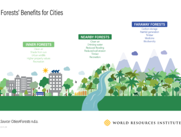 Hoe bossen dichtbij en ver weg mensen in steden ten goede komen