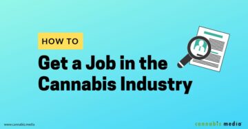 Come trovare lavoro nell'industria della cannabis | Cannabis Media