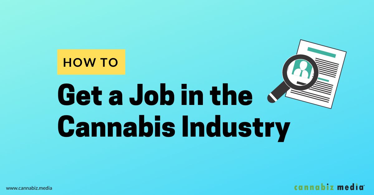 Cum să obțineți un loc de muncă în industria canabisului | Cannabiz Media