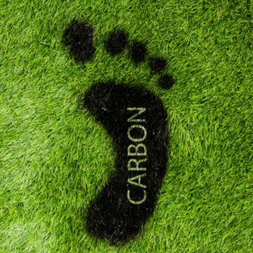 Como limitar sua pegada de carbono com compensações de carbono