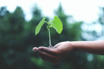 Jak żyć w sposób zrównoważony — 3 sposoby, dzięki którym możesz już teraz pomóc środowisku