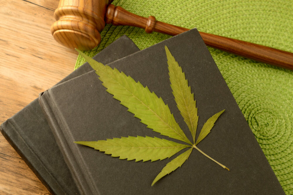 Los Angeles Cannabis Litigation: Cannabis leietaker seier