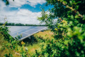 Low Carbon aloittaa neljän suuren aurinkovoimalan rakentamisen Alankomaissa