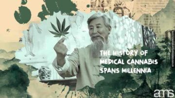 Cannabis medicinal: o que a ciência diz