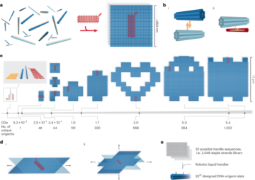 Estructuras entrecruzadas de varias micras cultivadas a partir de listones de origami de ADN