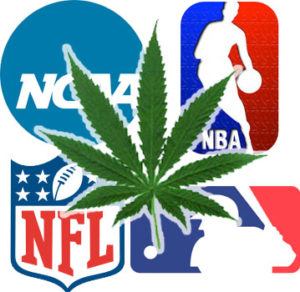 Saúde cerebral e cannabis do jogador da NFL (problemas de TBI)