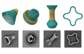 Open-source software stelt onderzoekers in staat ronde objecten op nanoschaal te maken van DNA
