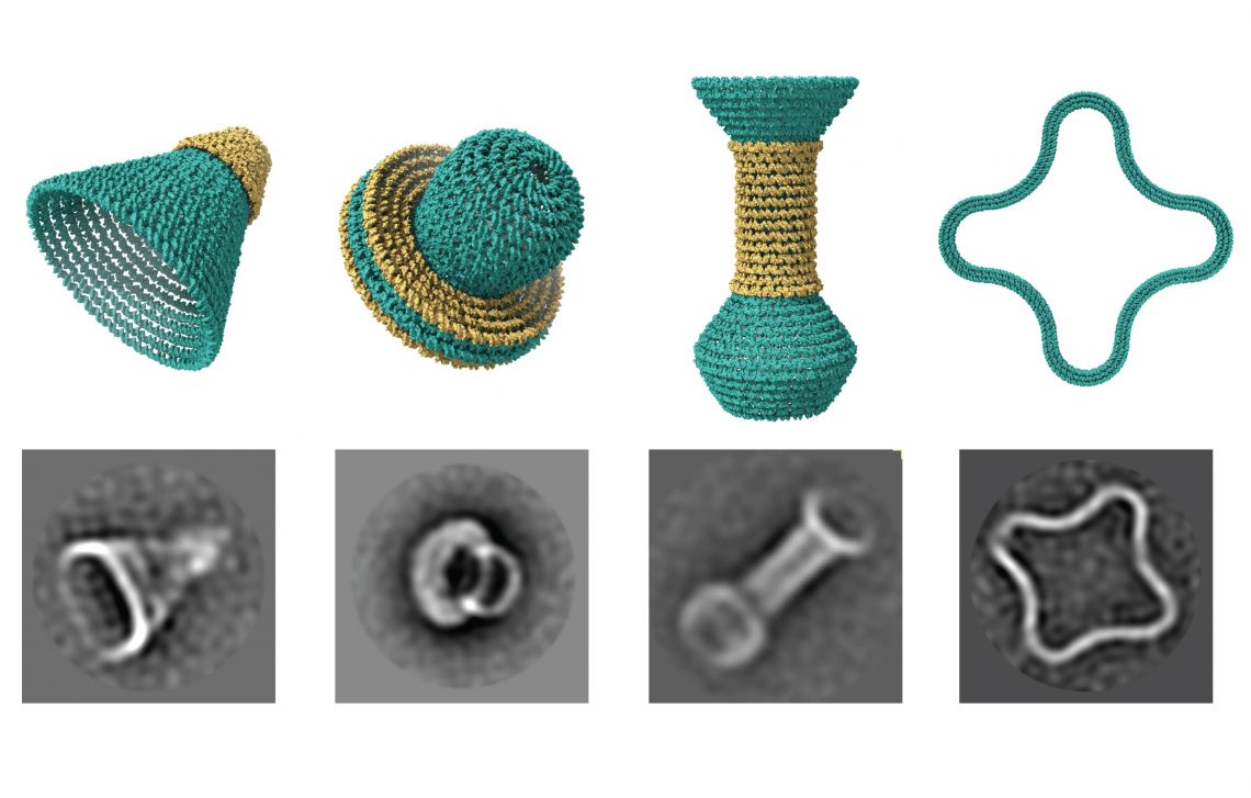 오픈 소스 소프트웨어를 통해 연구원은 DNA에서 나노 크기의 둥근 물체를 만들 수 있습니다.