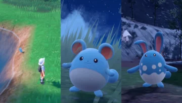 Pokémon Scarlet and Violet: How to teach Azumarill Belly Drum