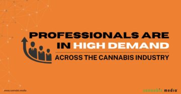 Er is veel vraag naar professionals in de cannabisindustrie | Cannabiz-media