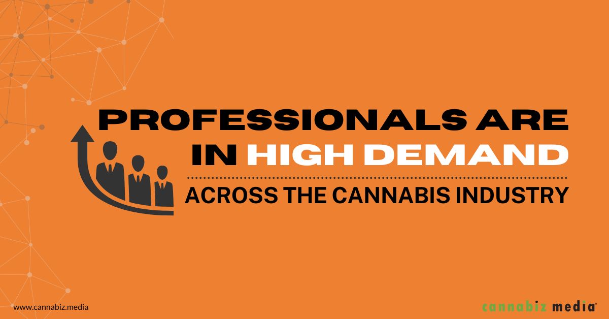 Les professionnels sont très demandés dans l'industrie du cannabis | Cannabiz Media