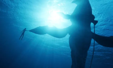 Los cines rusos obtienen ayuda para eludir las sanciones para proyectar “Avatar: The Way of Water”