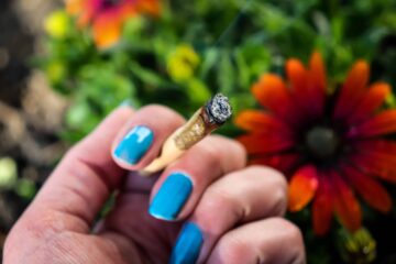 South Dakota-aktivister planerar en ny lag om legalisering av cannabis
