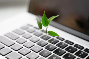 Trường hợp kinh doanh thương mại điện tử vì sự bền vững - Biến việc trồng cây thành lợi nhuận