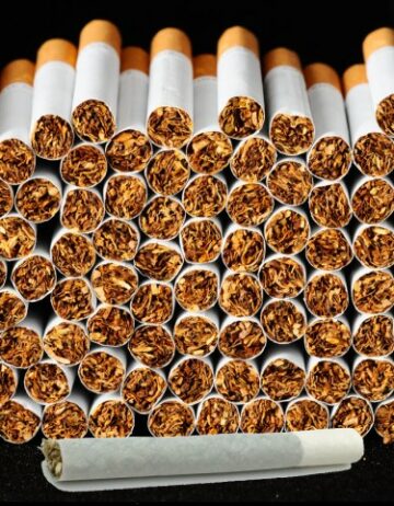 صناعة الماريجوانا سيئة للغاية في الوقت الحالي ، ولا يمكنها حتى أن تنفجر من التبغ الكبير