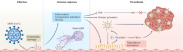 The potential impact of nanomedicine on COVID-19-induced thrombosis
