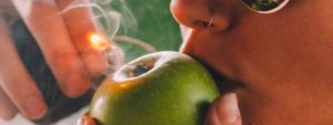 how to smoke out of an apple pipe lighting it up