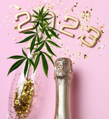 De bedste cannabishistorier i 2022 ifølge Reddit