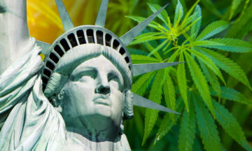 Top 5 Cannabisskandaler i 2022