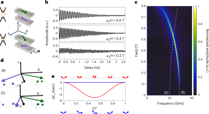 Tunable interaction between excitons and hybridized magnons in a layered semiconductor