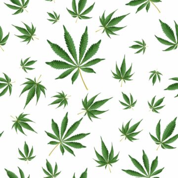 We need a campaign against teen marijuana use | Opinion