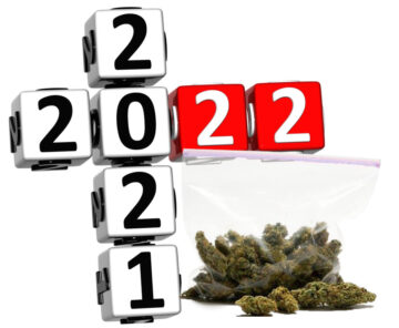 Quels sont les Top 5 des nouvelles sur le cannabis de 2022 ? - Vous votez, vous gagnez !