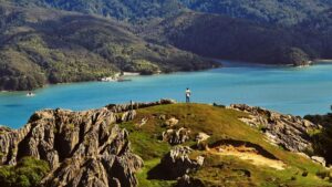 En lyxstuga lockar längs den orörda Nya Zeelands kustlinje