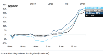 Altcoin Indexes Outperform Bitcoin, Small Caps Lead Market
