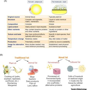 Alternative fat: redefining adipocytes for biomanufacturing cultivated meat