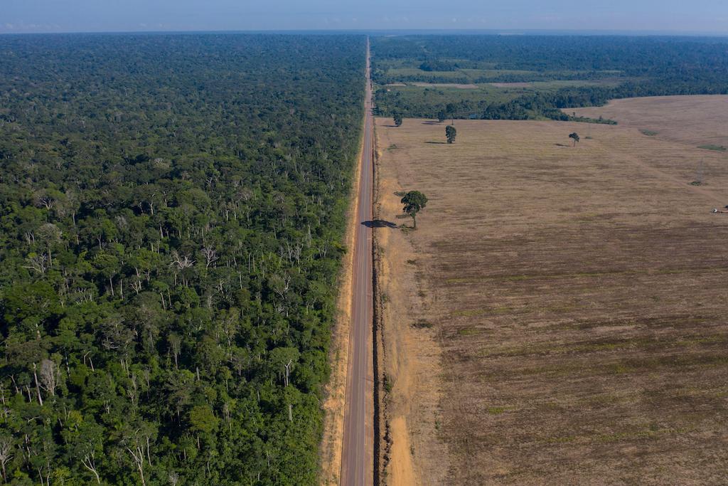 हाईवे BR-163, 15 नवंबर 2019 को ब्राज़ील के दाएँ, पारा राज्य के बेल्टेरा में तापजोस राष्ट्रीय वन, बाएँ और सोया के खेत के बीच फैला है।