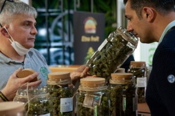 Analyse: Cannabis for voksne fører til økonomiske forbedringer, flere jobber