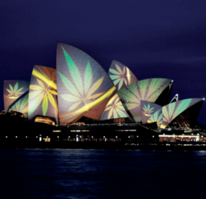 Australijscy aktywiści zostali oskarżeni o protest projekcyjny 4/20 Sydney Opera House